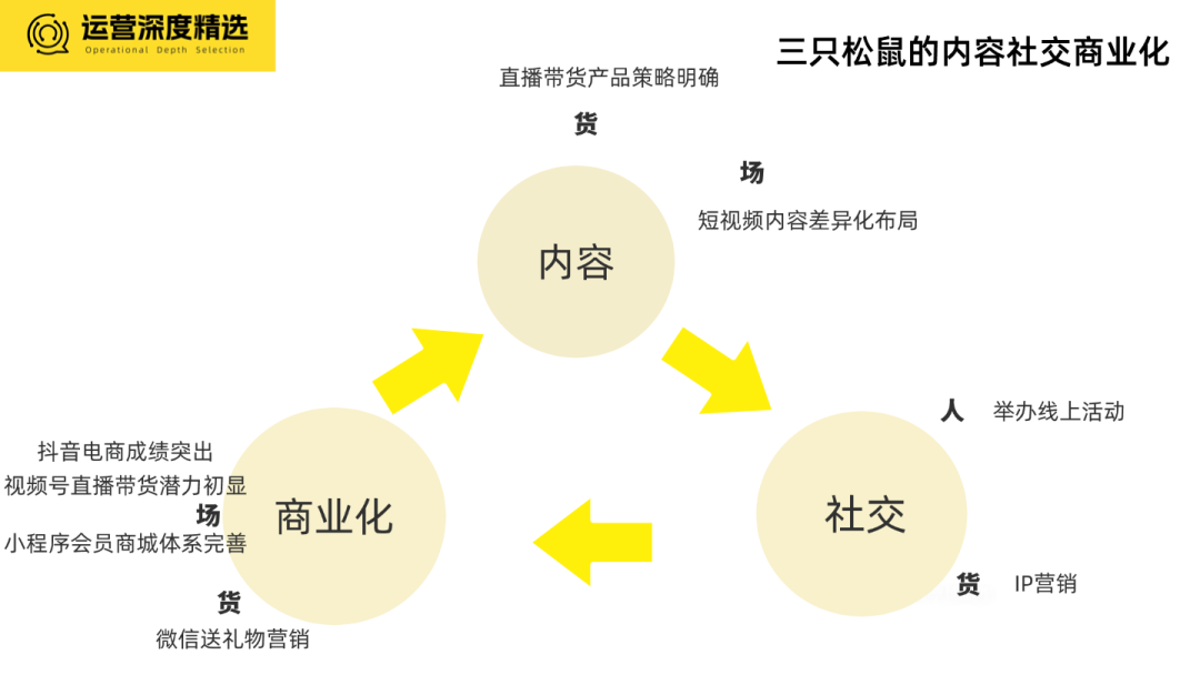 2024品牌全域经营年度十大案例（下）