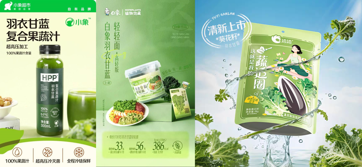這屆減肥人連飯碗都要啃了