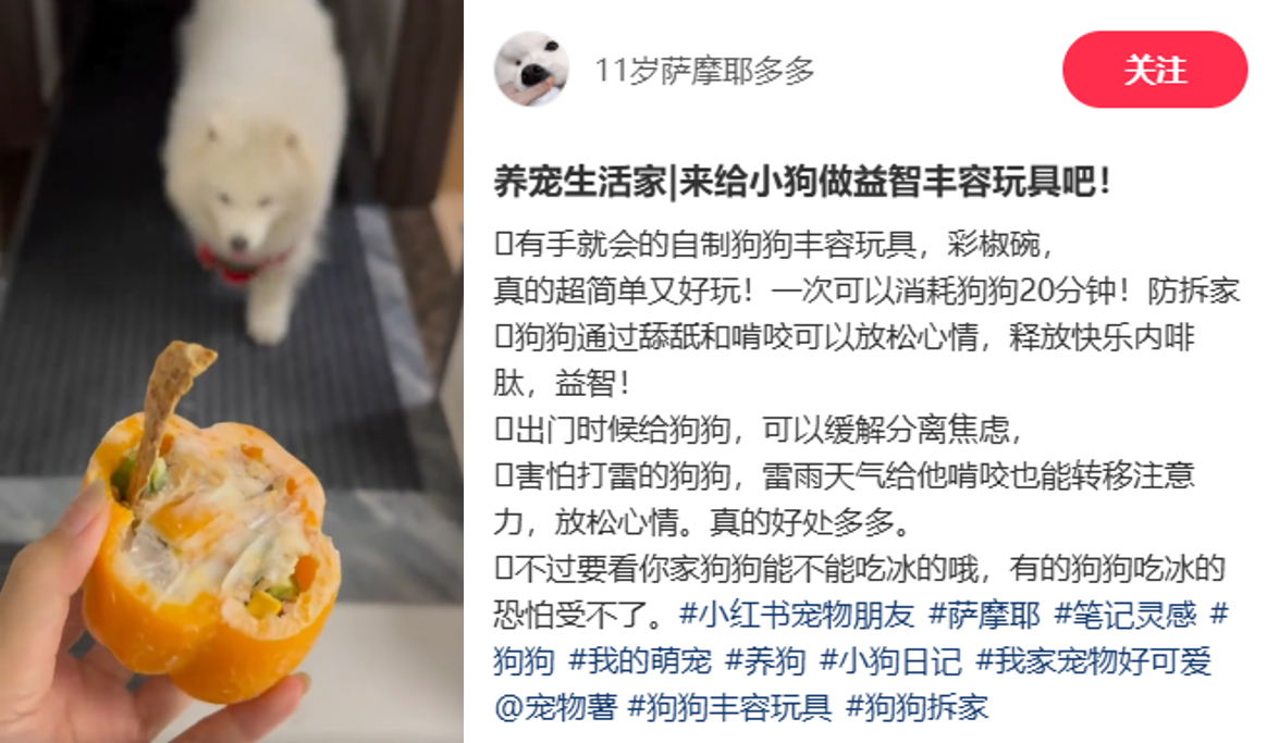這屆減肥人連飯碗都要啃了