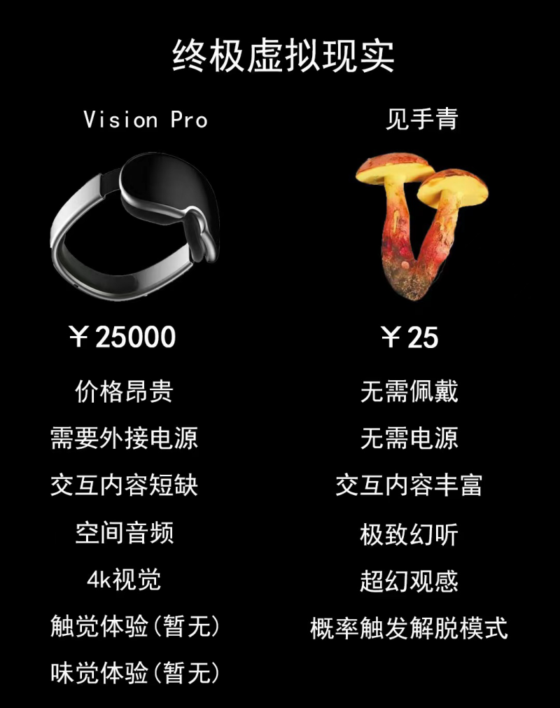 与苹果Vision Pro同台竞技，这家AR厂商凭什么？