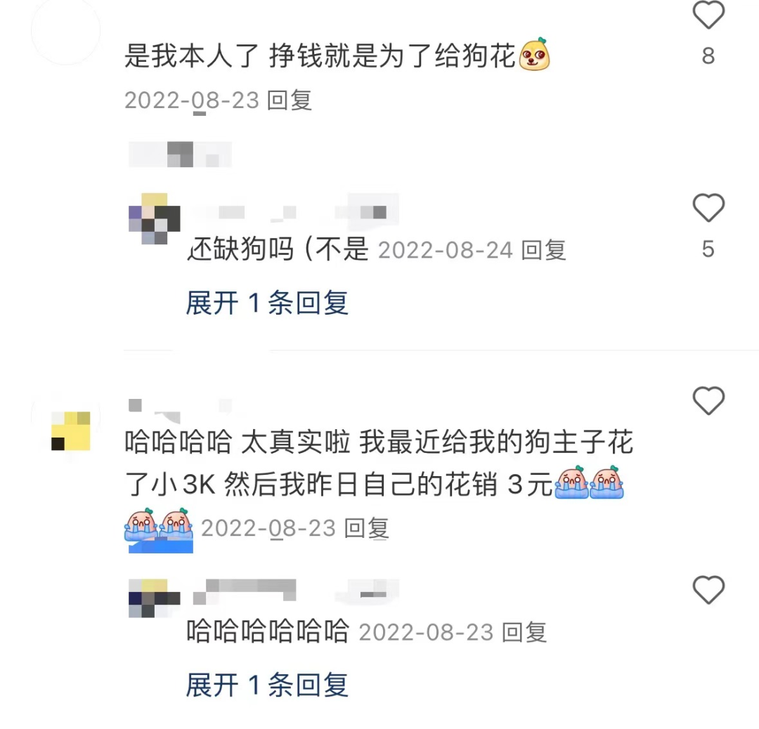 后悔和父母出游的年轻人，正在计划带宠物旅行