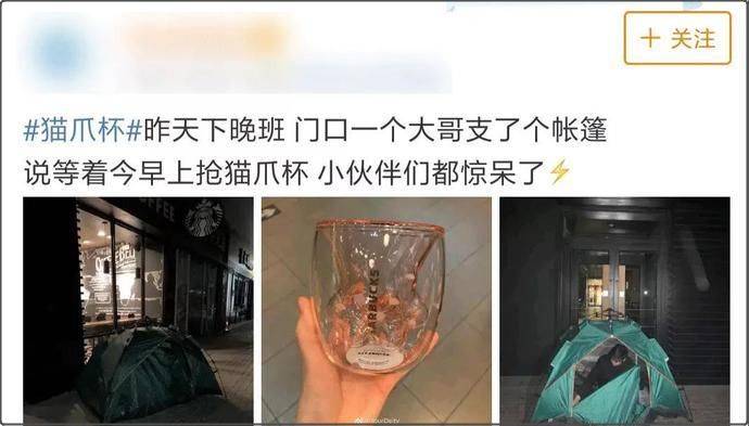 1399元网红猫爪杯让人大打出手 星巴克到底有什么魔力 广告文案 鸟哥笔记 1399元网红猫爪杯让人大打出手 星巴克到底有什么魔力 广告文案 鸟哥笔记