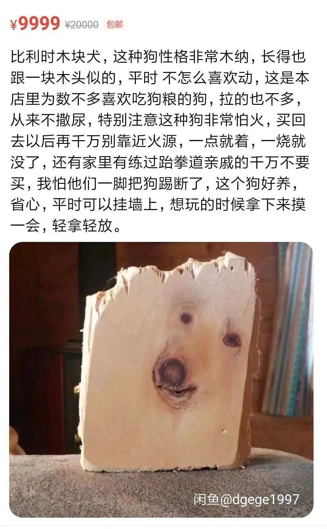 鸟哥笔记,广告文案,顶尖广告,营销洞察,热点,文案,创意