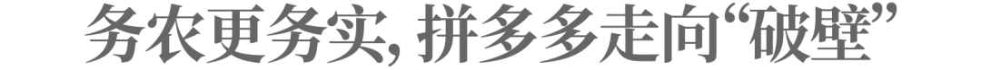 高质量发展注入基因,拼多多踏进“质变”进行时一看就会