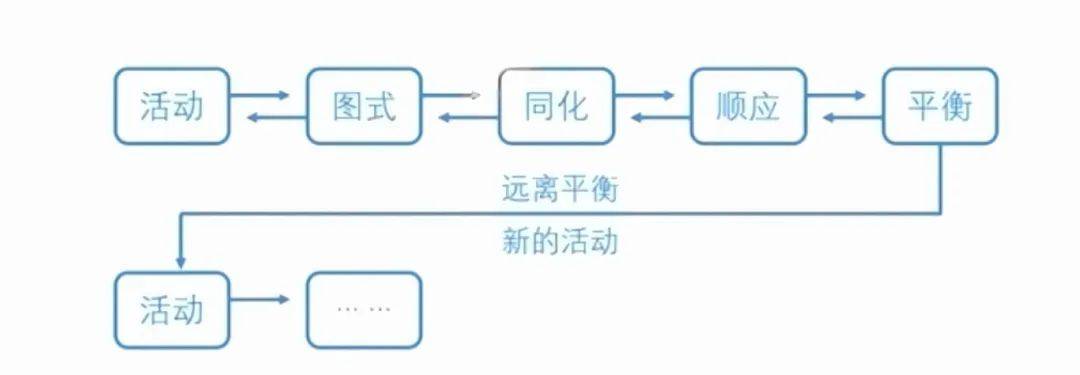 揭秘儿童是如何学习知识的？皮亚杰儿童认知发展与建构主义