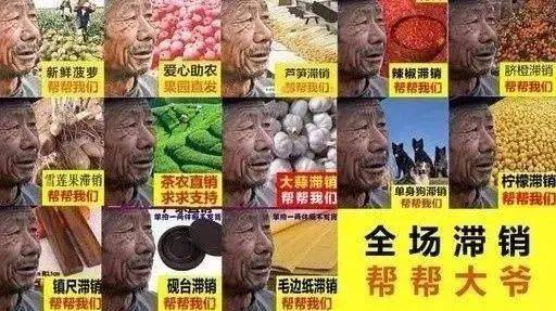 电服牛选,新媒体运营,运营进化史,总结,思维,运营规划