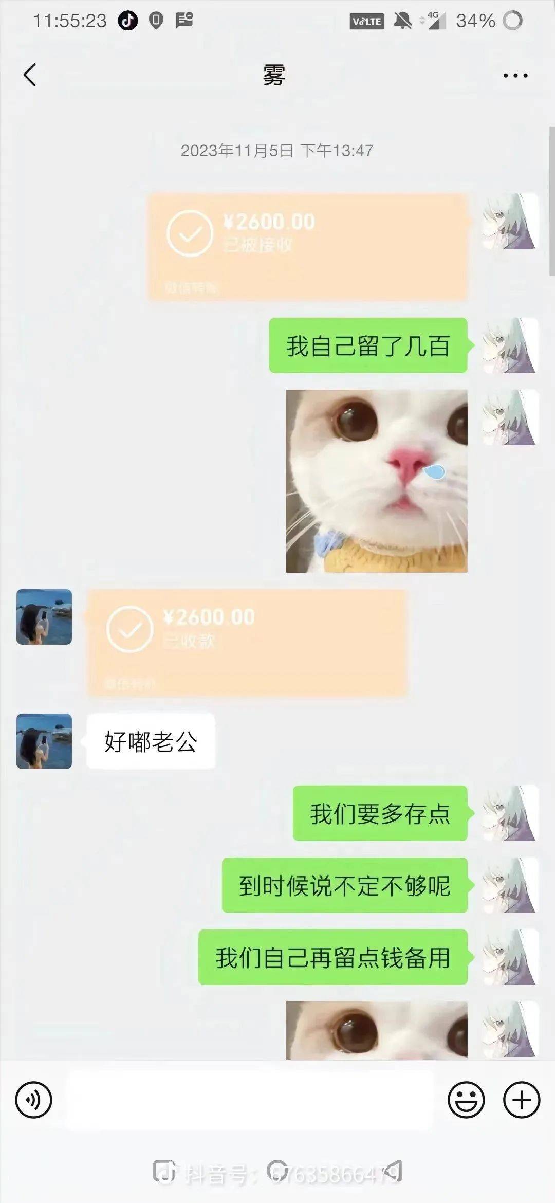 发空包祭胖猫，这些品牌门店有多离谱？