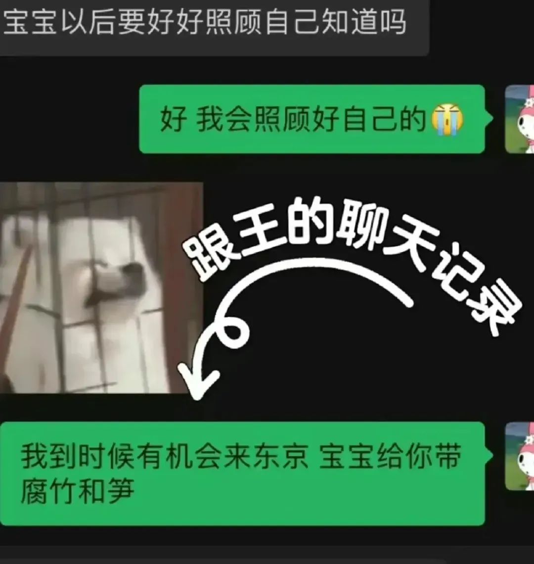 和王思聪分手后，网红女友彻底不装了