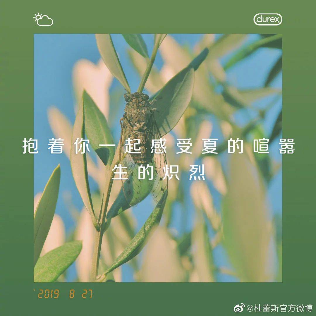 支付宝,美的,杜蕾斯的夏日情话文案,太甜了!