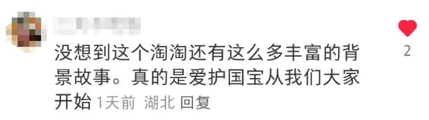 大熊猫保护日，淘宝拍了一支让人爱心爆棚的皮影戏