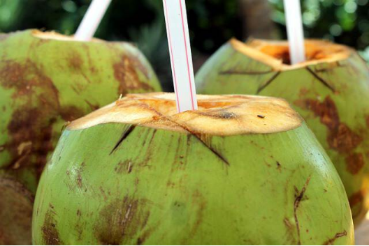 逆风翻盘，26亿个椰子被国人一年喝掉