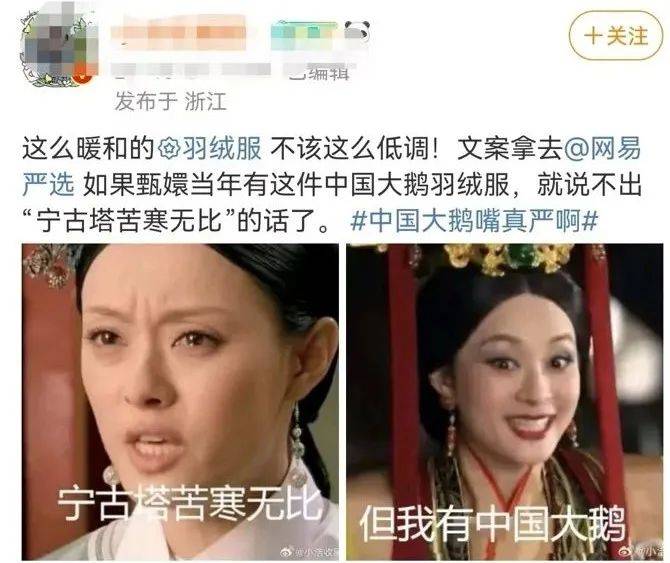 “中国大鹅”火了！双11最强带货王，竟然是网友？