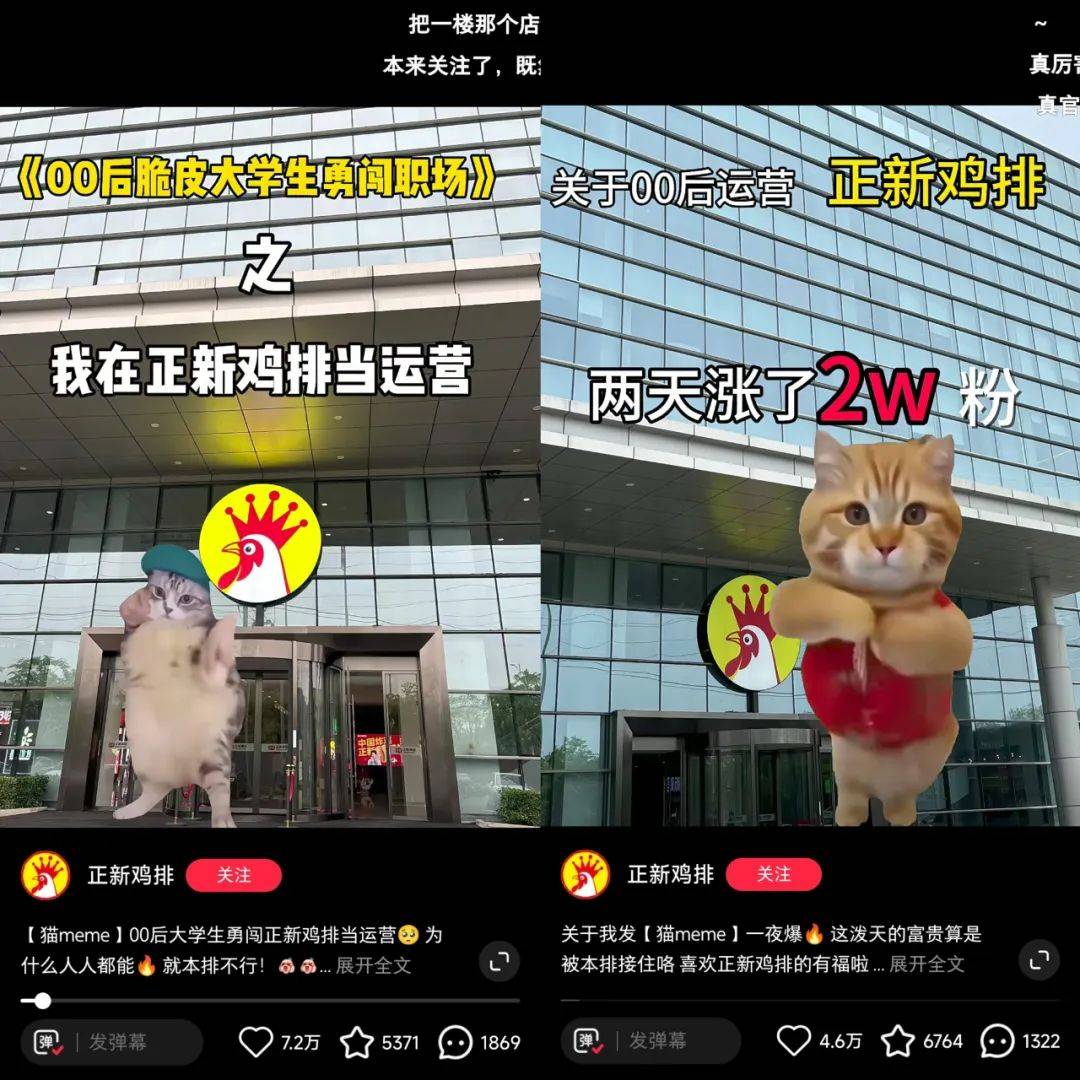 在小红书2天涨粉2万，猫meme成流量密码？