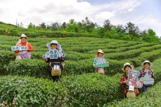 星巴克暴跌，茶百道破发，加盟商要注意了！