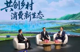 央视热议乡村消费新生态，专家：拼多多驿站模式值得推广