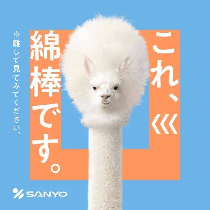 日本公司用羊驼代言棉棒，创意太有才，让人笑出眼泪