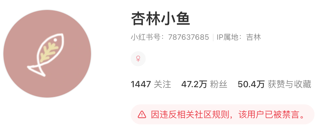 小红书3条视频涨47万粉！普通人可复制！