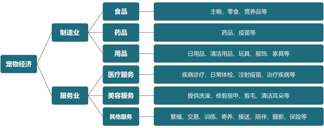 从国外代工到“中国第一”，麦富迪依托品牌势能崛起