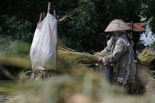 跨境电商跟电子商务哪个好(电商与跨境电商，二字之差区别到底在哪？)