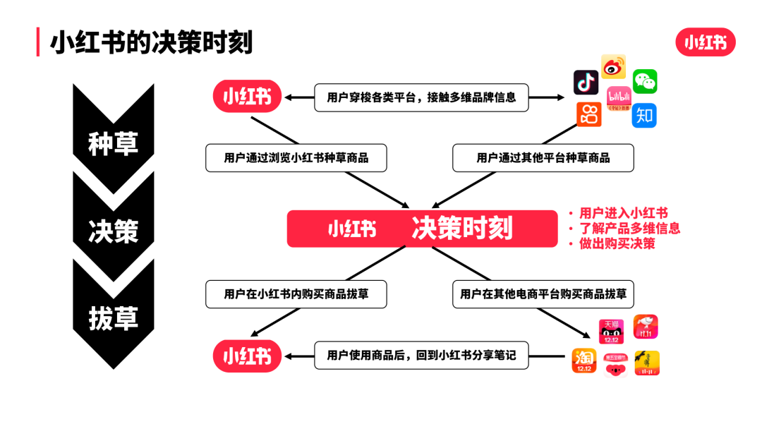 鸟哥笔记,用户运营,千瓜数据,私域流量,案例分析,用户运营,社群运营,完美日记,私域流量,案例分析,社群运营,用户运营