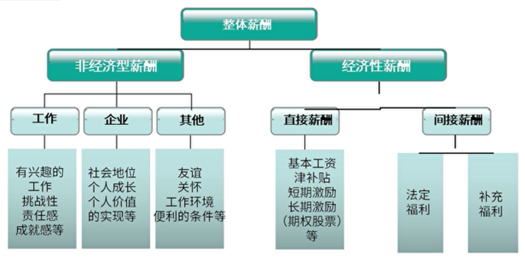 足球队中，为什么有的替补薪资高于主力？