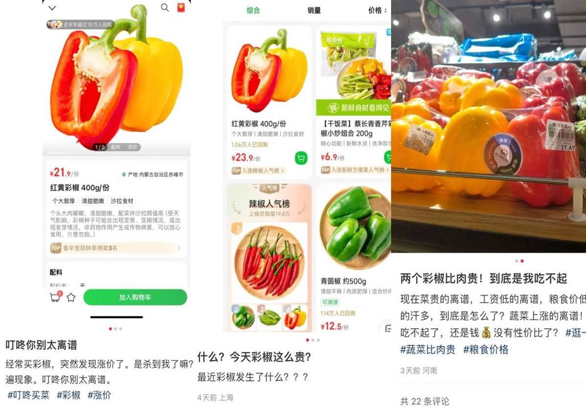 這屆減肥人連飯碗都要啃了