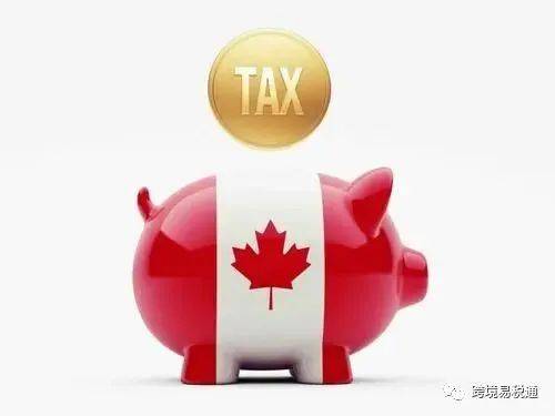 跨境电商申请加拿大税号须知（BN号及GST号申请）(跨境电商56号)