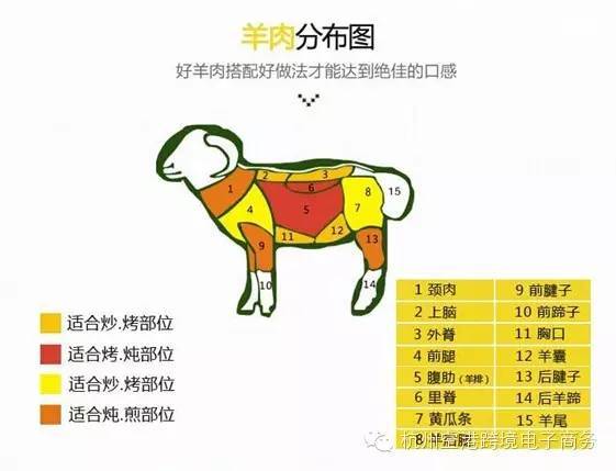 元宵福利！空港跨境园将迎来全国首单新西兰原包跨境牛羊肉(空港跨境 官网)