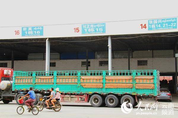 中缅跨境农业 水涨荷花高(跨境农产品)