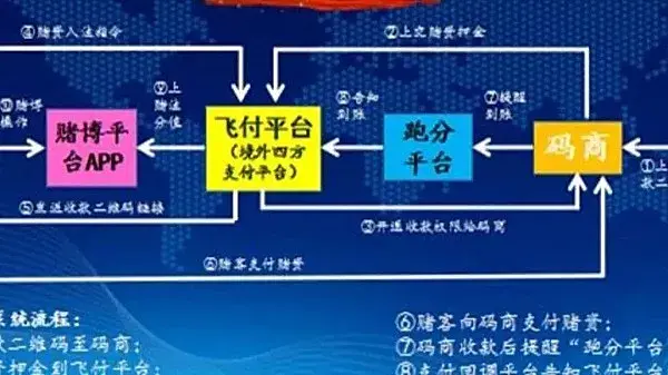 警方捣毁特大跨境洗钱平台“飞付”！涉案资金超300亿(跨境洗钱事实)