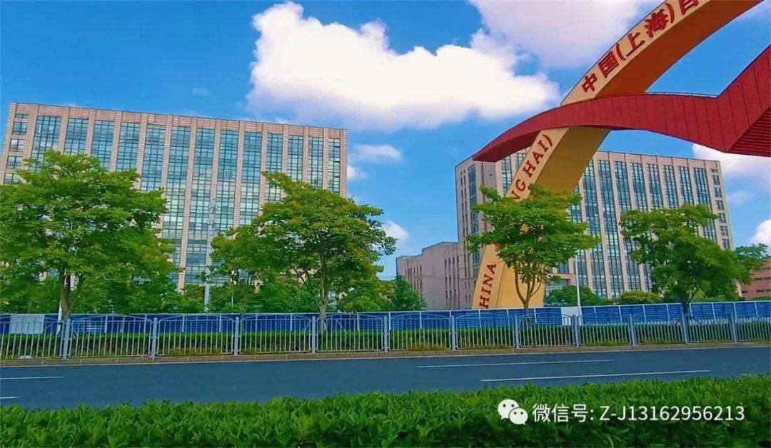上海市外高桥保周跨境电商直播产业园办公大楼公开招租(上海跨境电商公司排名)