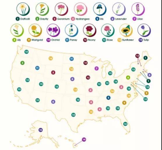 美国人偏爱什么花（解析美国每个州最受欢迎的花卉种植品种）