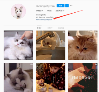 如何把Instagram上的粉丝转化成客户（分享instagram的玩法）