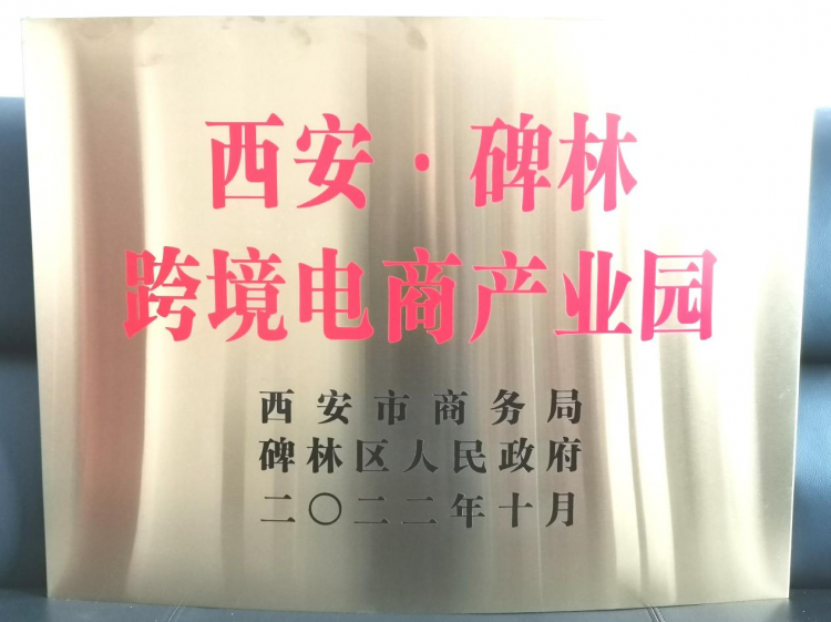 西安市将碑林区作为首个跨境电商培训基地(跨境电商培训行业解决方案)