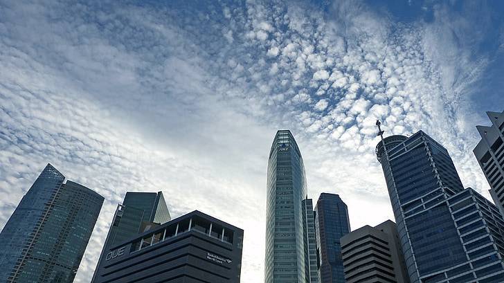 四地联游 香港跨境巴士拟开辟港珠澳大桥直通巴(中港跨境巴士)