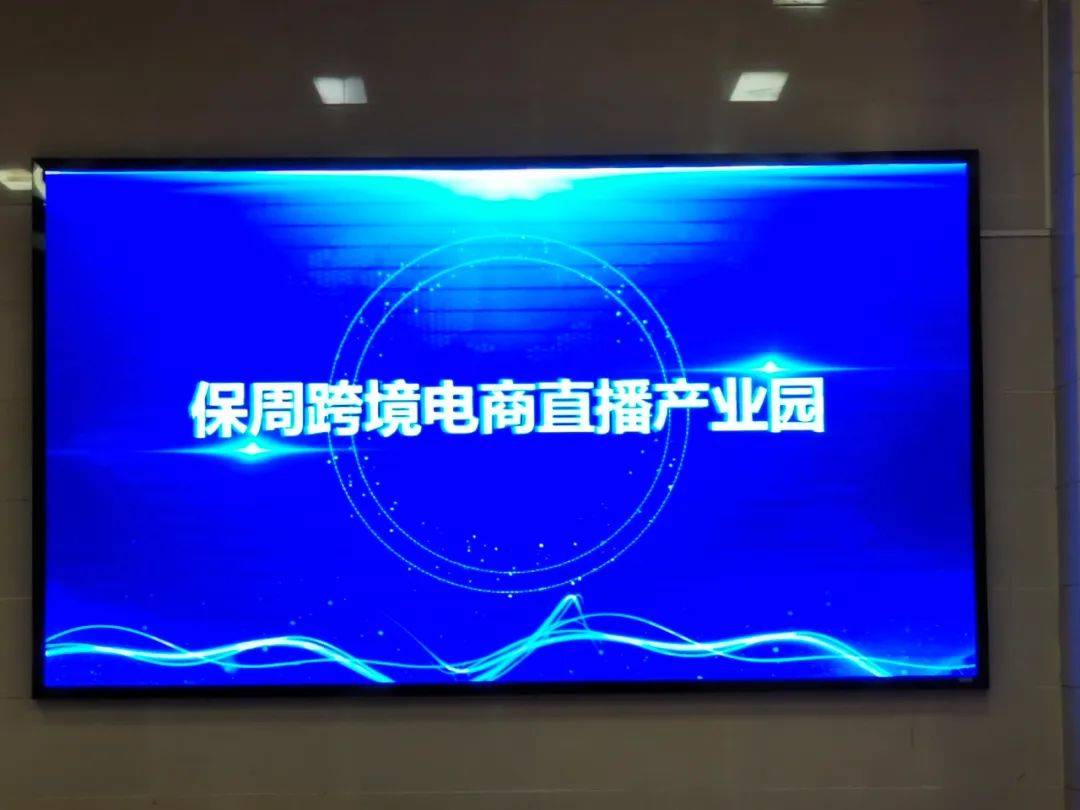 上海跨境电商产业园(上海跨境电子)
