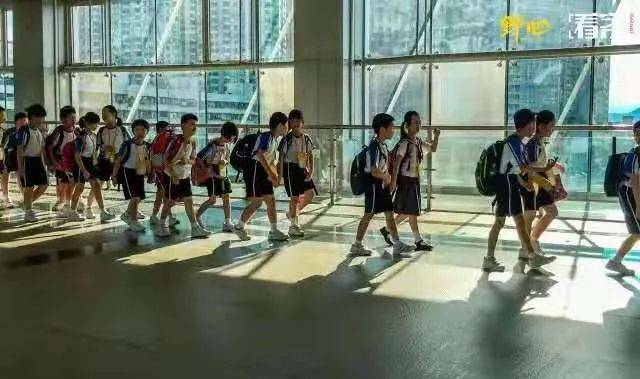 凌晨5点，20万孩子跨境去香港上学，小小年纪为何要受这个罪？(香港跨境小学)