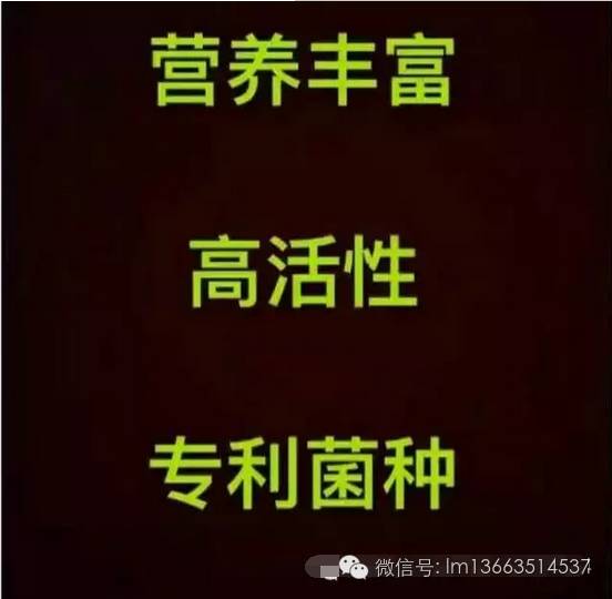 【指麦优品】9月24日正式上线，一个微信可以绑定多个账号（附表）不是普通微商(易洋指跨境电商正规吗)