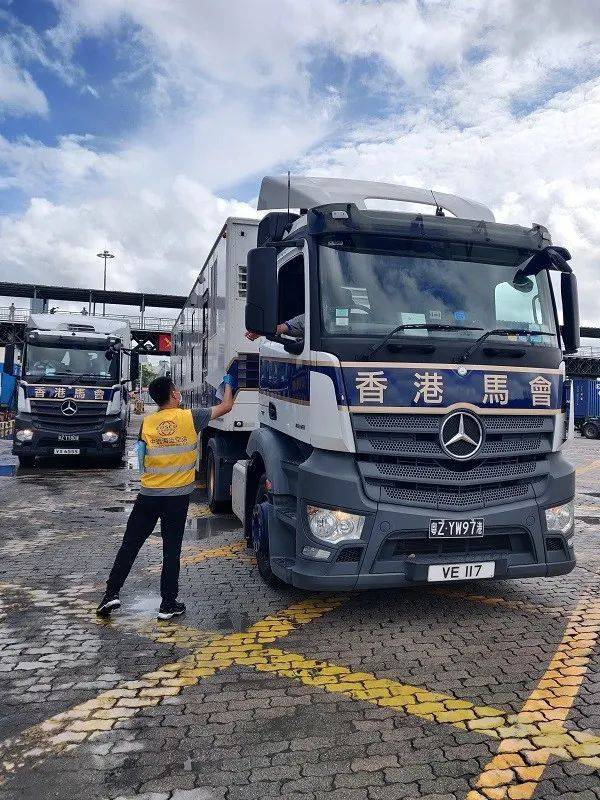 促进粤港澳大湾区合作 广州中远海运空运圆满完成香港马会首批跨境马匹运输任务(跨境搬家 广州 香港)