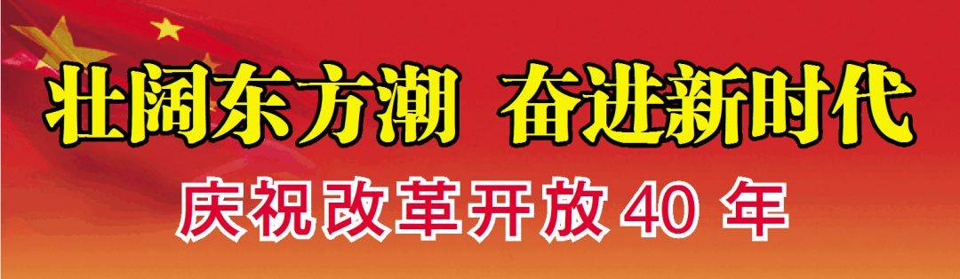 跨境电商提速增效，平潭航运物流业借新风发劲力！(平潭跨境电子商务)