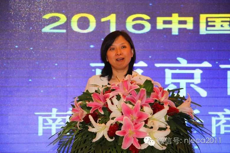 2016中国（南京）跨境电子商务年会暨国际采购对接会在南京成功召开(跨境电子商务 2016)