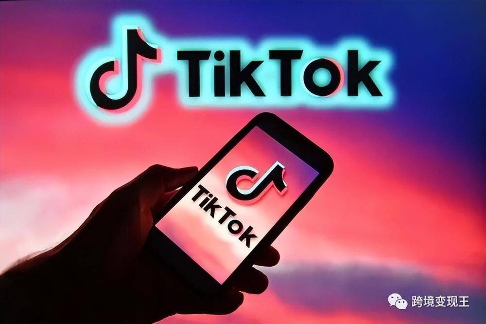 百耀集团带你观看TikTok跨境电商发展概况(跨境网络消费网站)