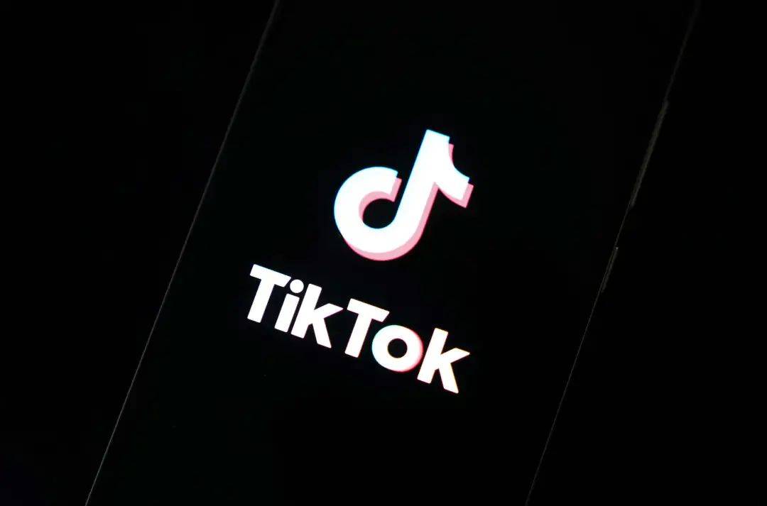 tiktok跨境电商系统收费，tiktok跨境电商系统排名(中国跨境电商公司排名)