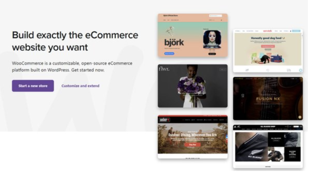 跨境卖家应该如何选择独立网站，Shopify 还是 WooCommerce？(跨境电商网站制作)