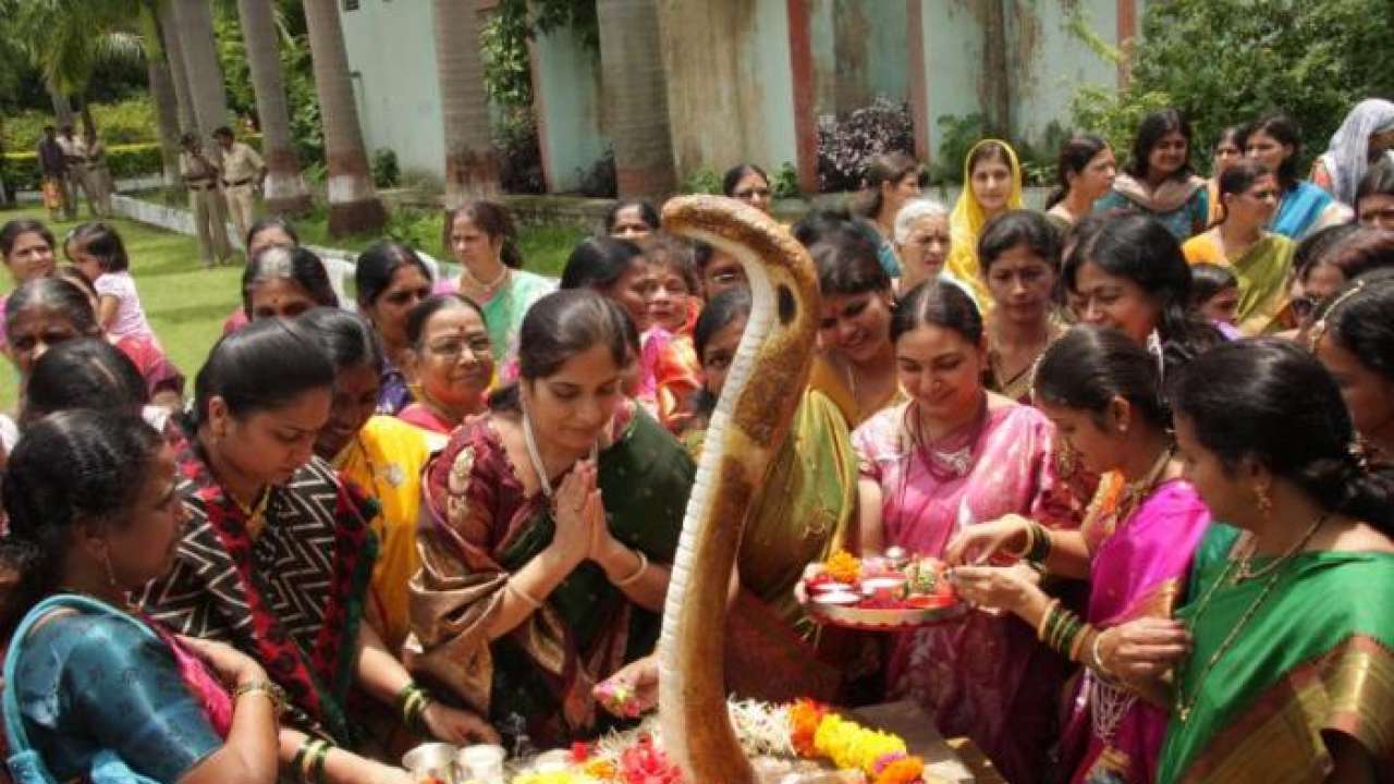 印度的节日主要有哪些（分享印度的几种节日活动）