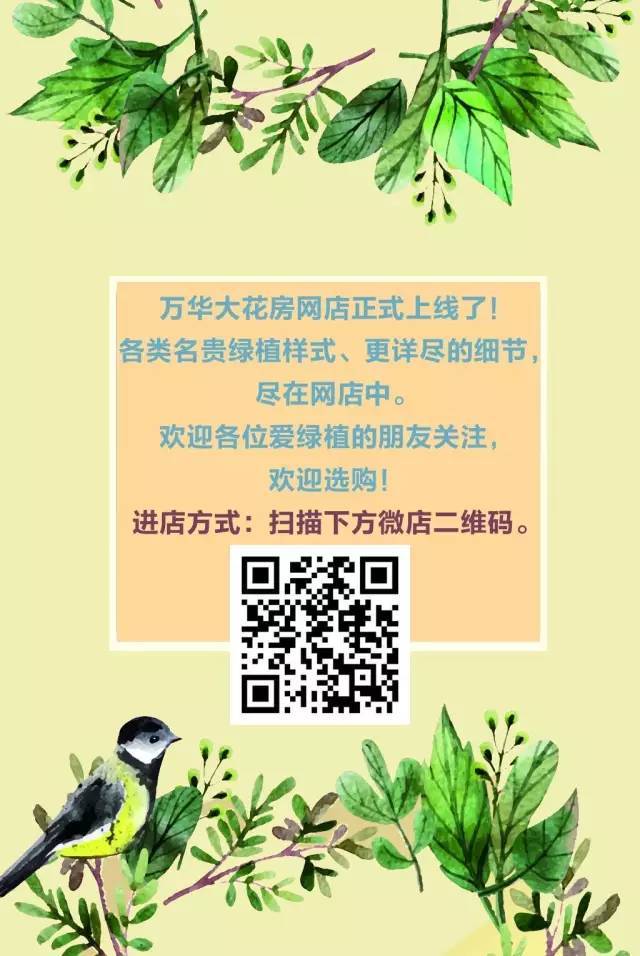 兰州市跨境电商观摩团考察甘肃万华互联网创新创业大厦(甘肃跨境电商)