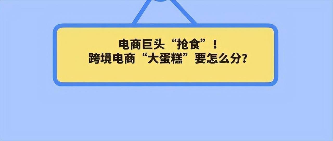 国内电商巨头争相出海“抢食”，跨境电商“大蛋糕”要怎么分？(跨境电商商品结构)