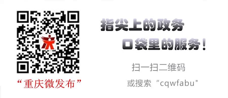 好消息！国务院同意重庆设立跨境电子商务综合试验区(重庆跨境电子商务协会)