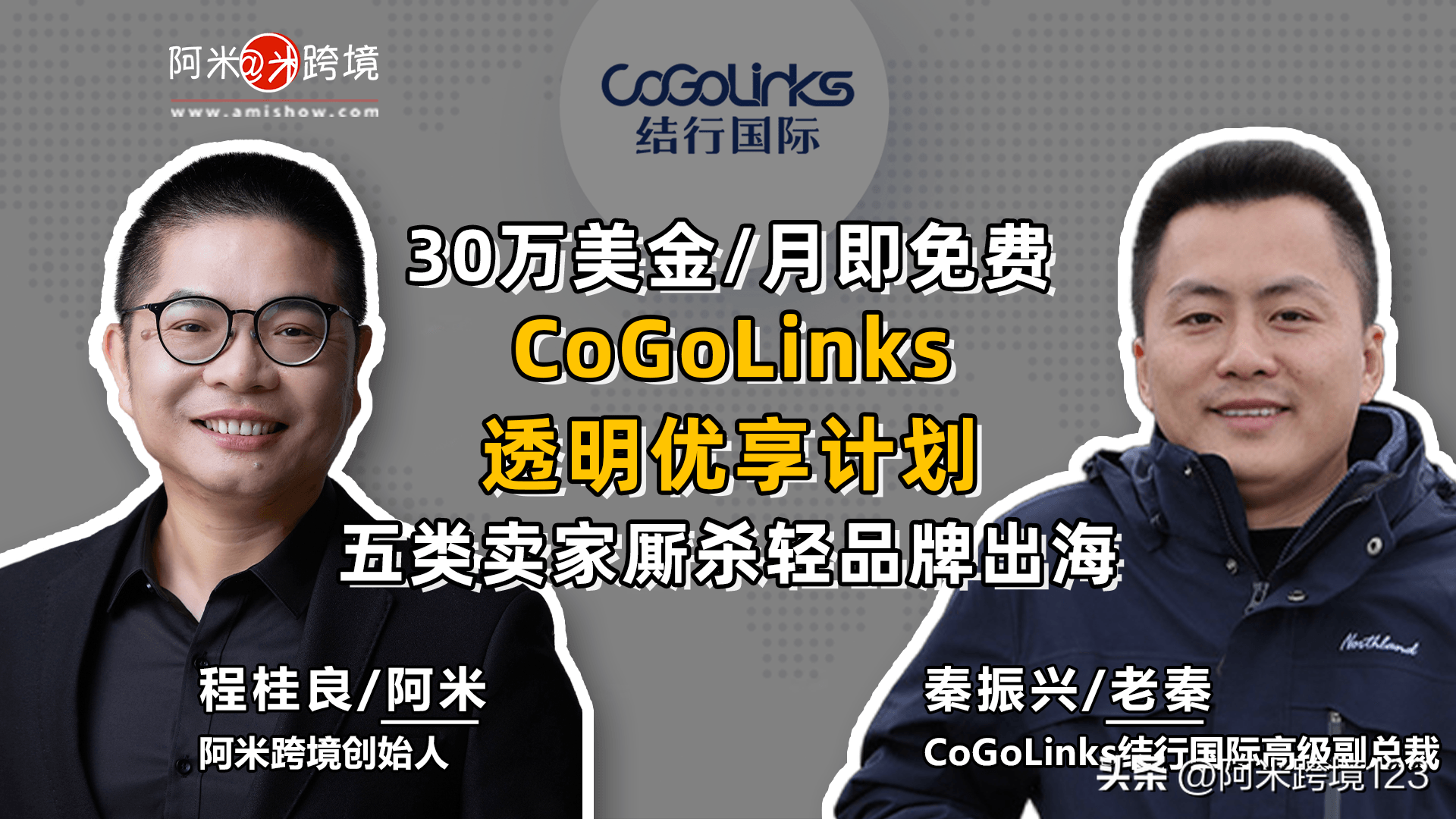 五类卖家厮杀轻品牌出海 30万美金/月即免费CoGoLinks优享计划(跨境运营计划)