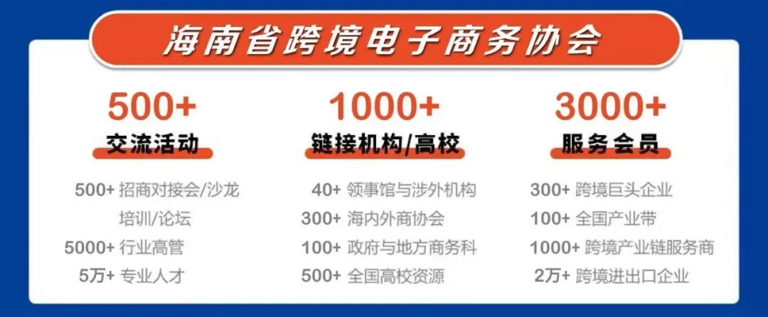 海南省跨境电子商务协会秘书处2023年度重点工作具体安排(双d港跨境电商产业园)